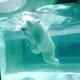 ゼロのアイコン