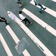 蘇子強のアイコン