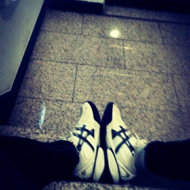 김보겸