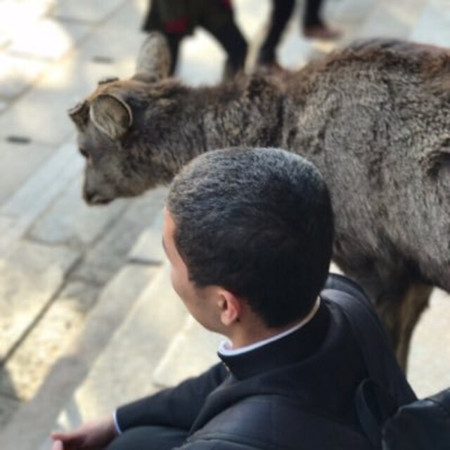 しょうご