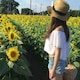 SALAのアイコン