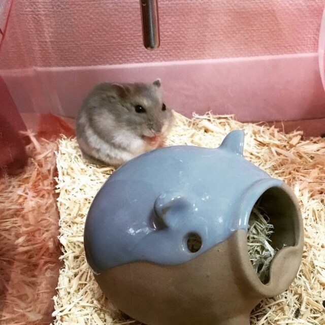 みさそ