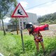 Roro Laiのアイコン