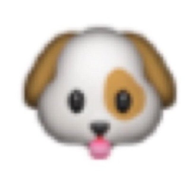 いぬ