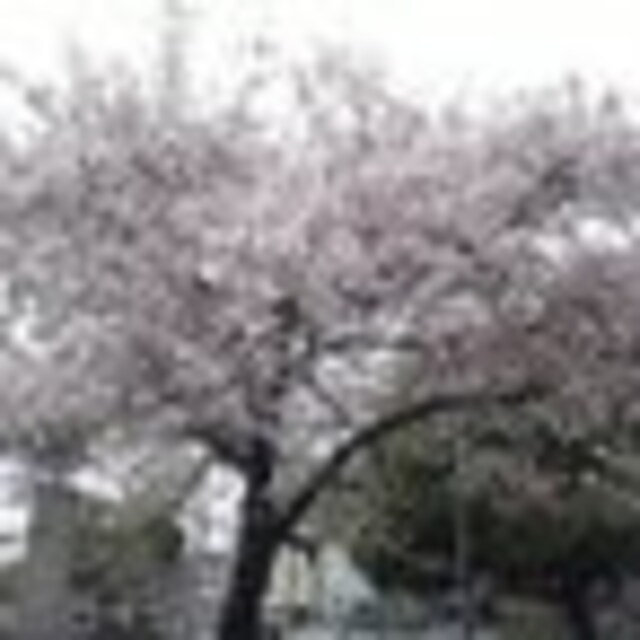たかゆき