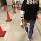 ちょす。のアイコン