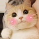 芒果是只喵のアイコン