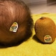 チビたすのアイコン