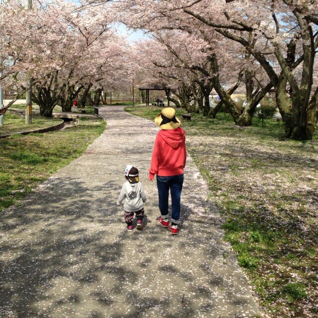 にゃんこゆう