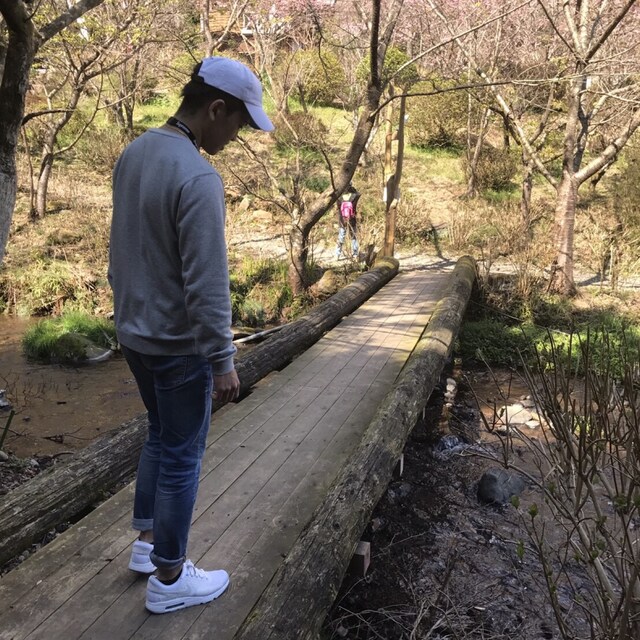 つばさ