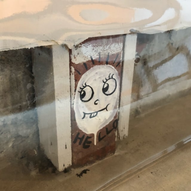 小真
