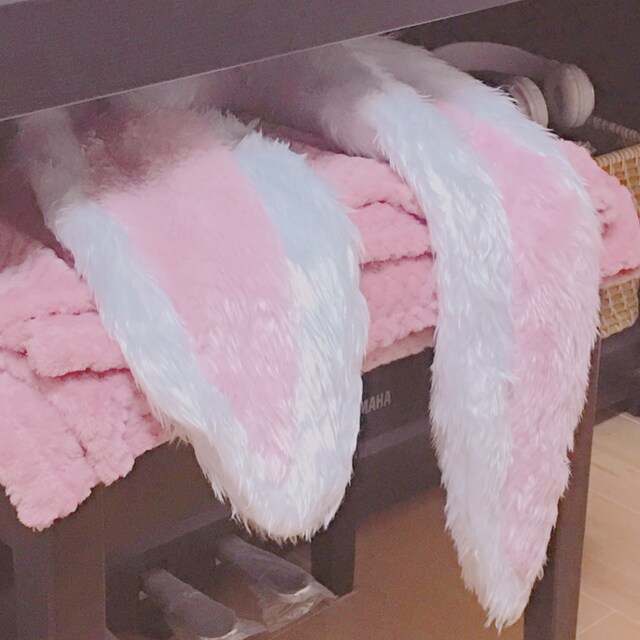 たれみみコ