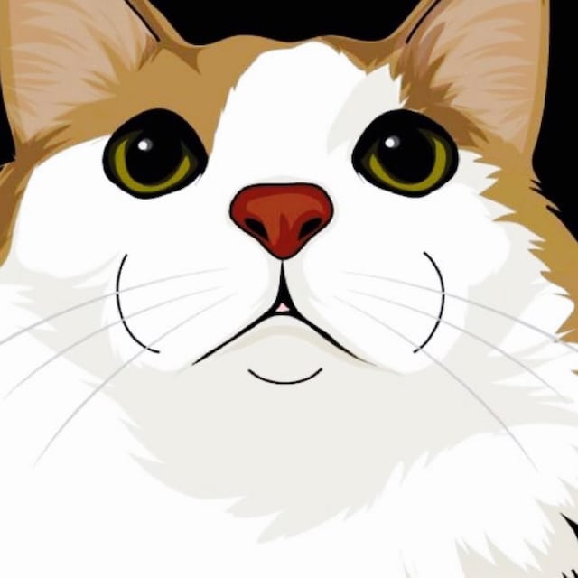三毛猫