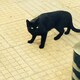 U10のアイコン