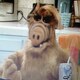 ボヤンキーのアイコン