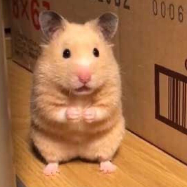 　　？