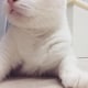 mouyaのアイコン