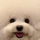 miyaのアイコン