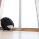 ウホっのアイコン