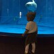 chi-yanのアイコン