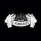 lambast