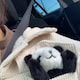 はるなのアイコン