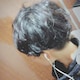 ﾐｼｬﾝのアイコン