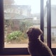 haraのアイコン