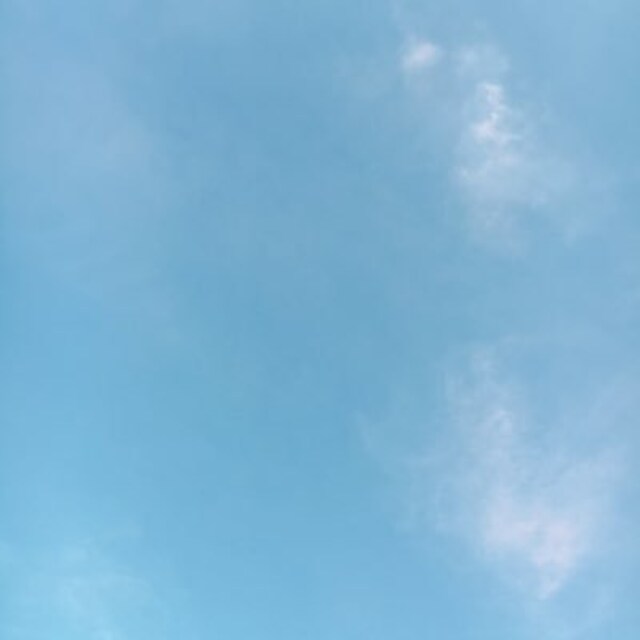 倉員眞途