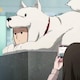 kamekameのアイコン