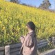 たみな。のアイコン