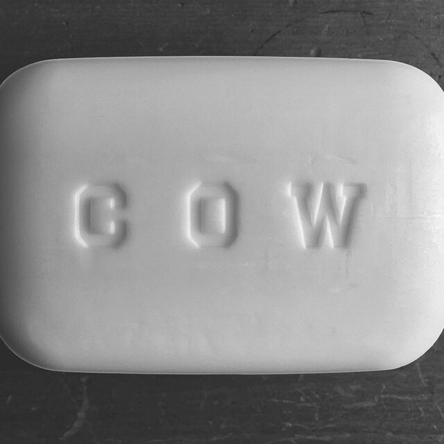 *cow*