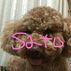 satoのアイコン