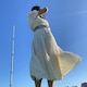akaneのアイコン