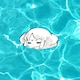 ピオマのアイコン