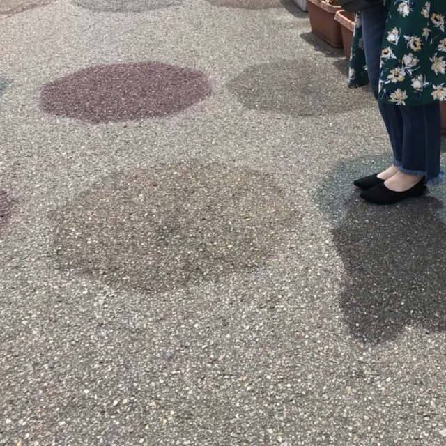 なす