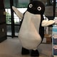 ゆーのアイコン