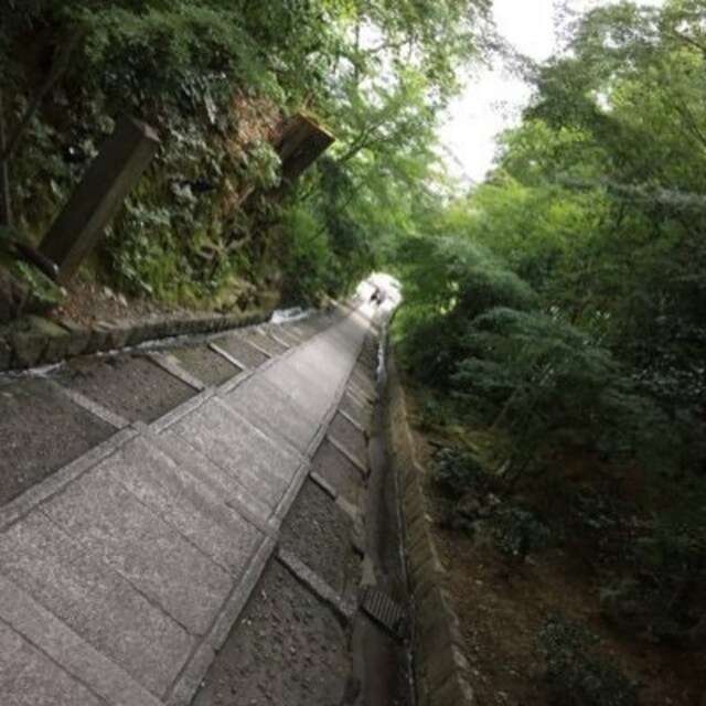 SHUNGO
