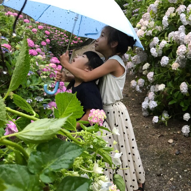 iammaimy3