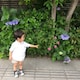haruのアイコン