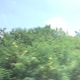 xiexieliのアイコン