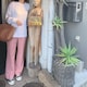 Mumu のアイコン