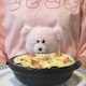 cyaaaのアイコン