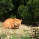 beriのアイコン