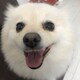 たいゆのアイコン