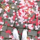 nameroのアイコン