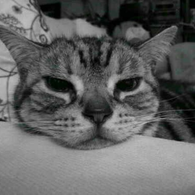 まぁさ