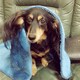 ばななのアイコン