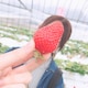 yopico☺︎のアイコン