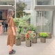 こころのアイコン